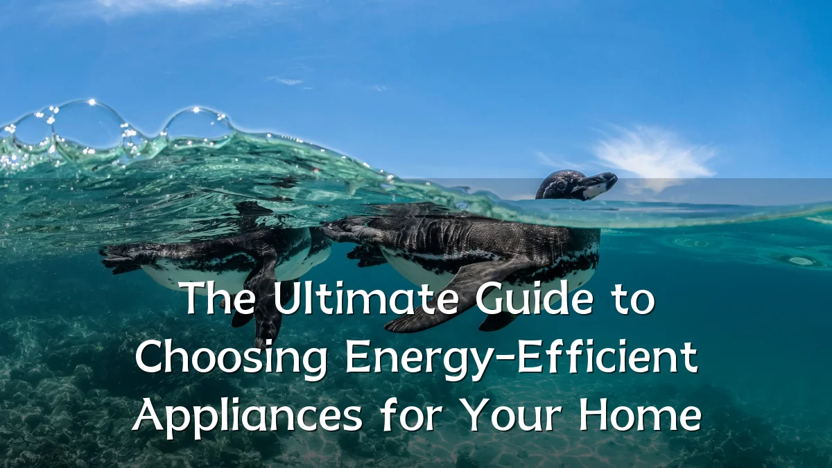 The Ultimate Guide to Choosing Energy-Efficient Appliances for Your Home