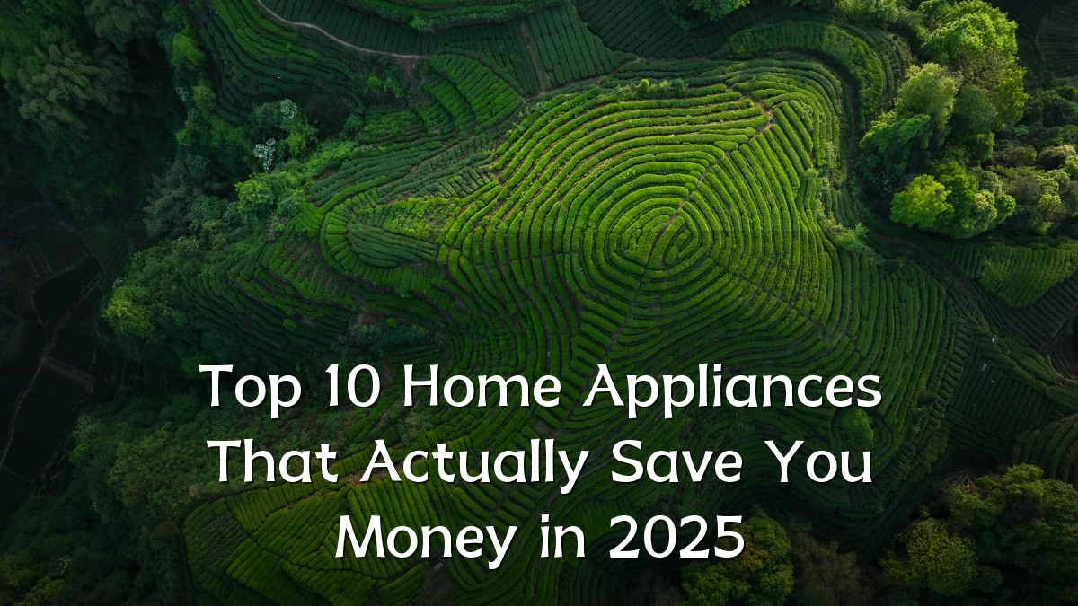 Top 10 Home Appliances That Actually Save You Money in 2025