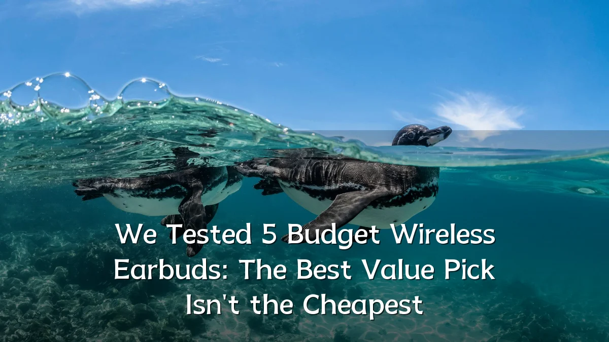 We Tested 5 Budget Wireless Earbuds: The Best Value Pick Isn't the Cheapest