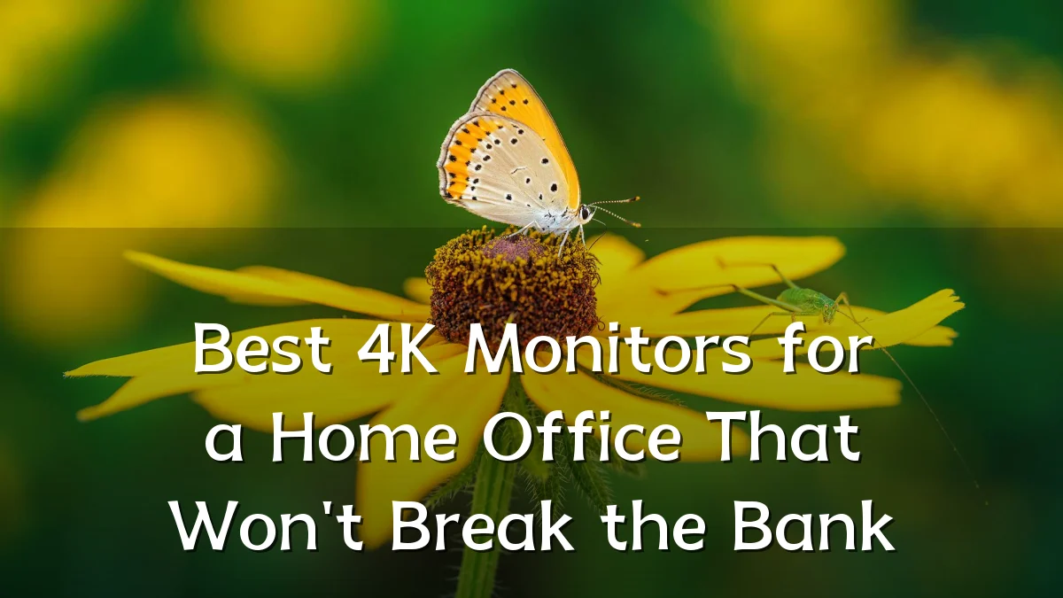 Best 4K Monitors for a Home Office That Won't Break the Bank