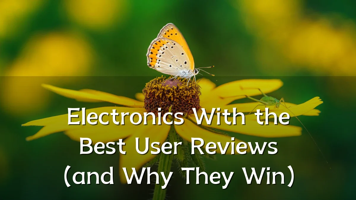 Electronics With the Best User Reviews (and Why They Win)