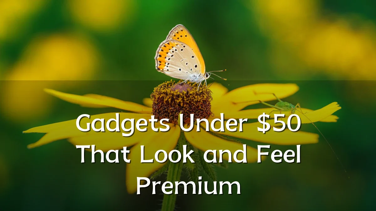 Gadgets Under $50 That Look and Feel Premium