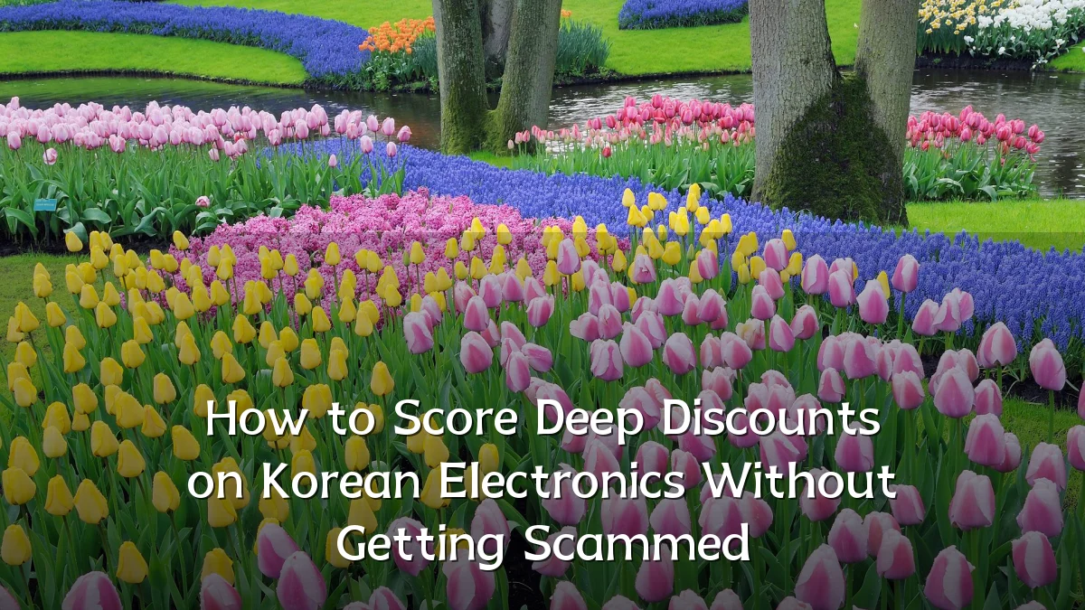 How to Score Deep Discounts on Korean Electronics Without Getting Scammed