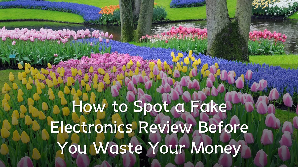 How to Spot a Fake Electronics Review Before You Waste Your Money
