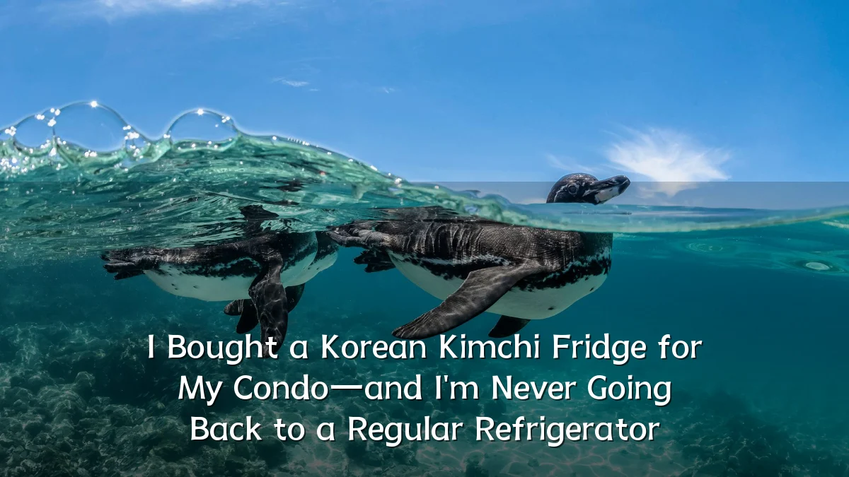 I Bought a Korean Kimchi Fridge for My Condo—and I'm Never Going Back to a Regular Refrigerator