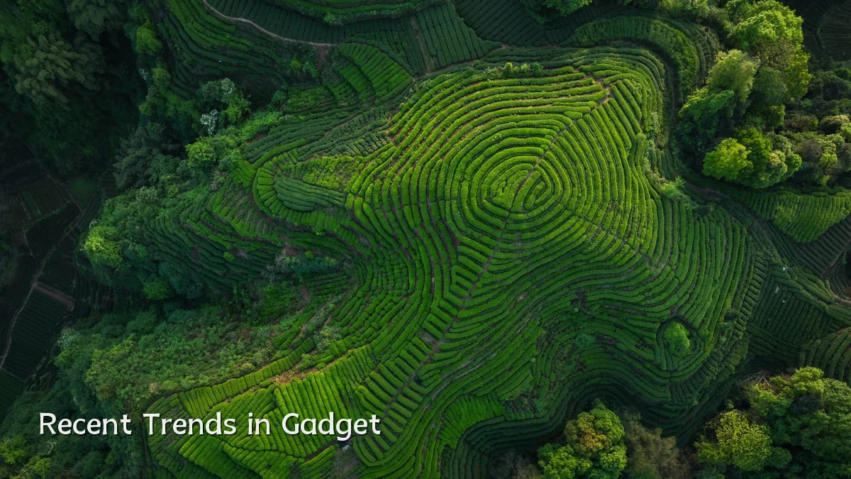 Recent Trends in Gadget