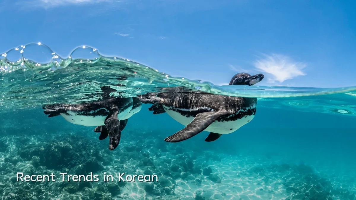 Recent Trends in Korean