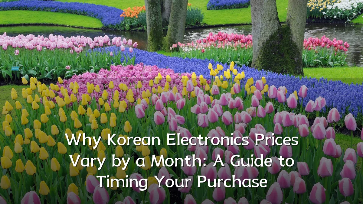Why Korean Electronics Prices Vary by a Month: A Guide to Timing Your Purchase